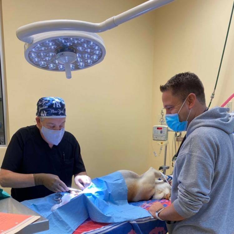 Franklin Lakes Animal Hospital Franklin Lakes, NJ